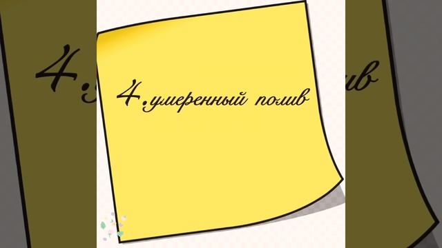 Томаты.Желтые пятна на листьях.Кладоспориоз (бурая пятнистость).Меры предотвращения !??? смотреть онлайн