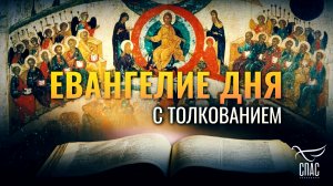 «ГОСПОДИ! ГОСПОДИ! НЕ ОТ ТВОЕГО ЛИ ИМЕНИ МЫ ПРОРОЧЕСТВОВАЛИ?» / ЕВАНГЕЛИЕ ДНЯ