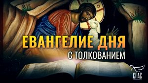 «КТО ВОЙДЕТ МНОЮ, ТОТ СПАСЕТСЯ» / ЕВАНГЕЛИЕ ДНЯ