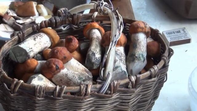 ВИДЕО РЕЦЕПТ ПОДОСИНОВИКИ С КАРТОФЕЛЕМ И ЛУКОМ ЖАРЕНЫЕ НА ГРИЛЕ СЮФ КРАСНОДАРСКИЙ ТРАССА Е 95