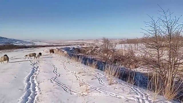 10 января 2024 г..mp4 смотреть онлайн