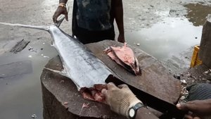30 KG Massive KOLA Fish Cutting & Chopping Kasimedu Fish Market | ₹3500/ - $45 |Fastest Fish Cuttin