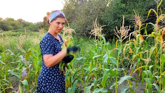 Обзор огорода. Реставрация советской электрокофеварки. Ремонт и благоустройство старого дома. смотреть онлайн