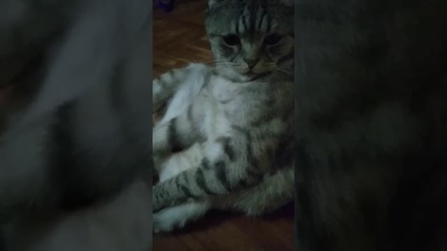 #После вкусного обеда