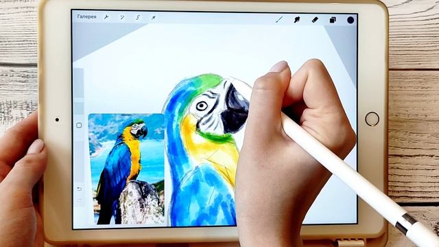 Рисуем попугая в акварельном стиле. смотреть онлайн