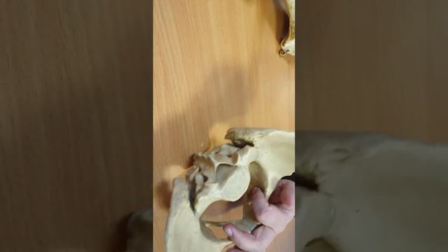 ATHROLOGY 8 смотреть онлайн