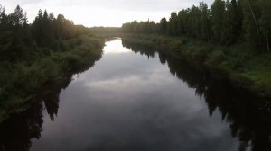 Летом в деревне. Архангельская область, Устьянский район, дер. Алфёровская.