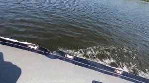 Перекаты не помеха. На болотоходе по мелководью.