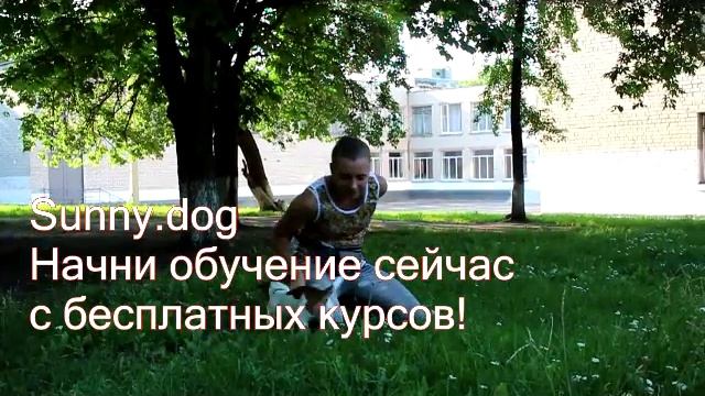 "апорт" - учим щенка джек рассела приносить предмет. Урок по дрессировке джек рассела. смотреть онлайн