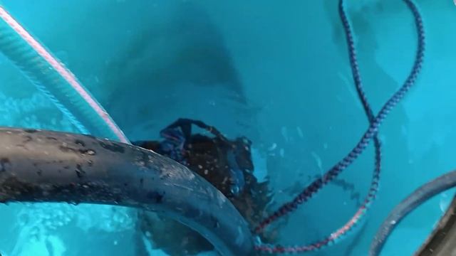 Сосново Приозерский район . Тонны песка. Отличный дебет. смотреть онлайн