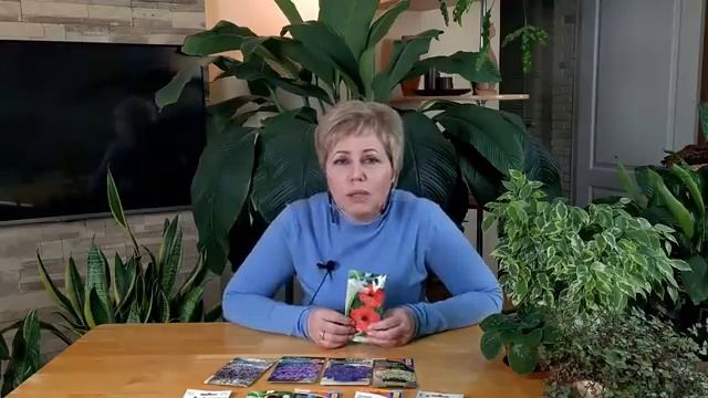 Топ 10 лучших петуний 2021 года! Самые обильно цветущие петунии. Петунии для ленивых! смотреть онлайн