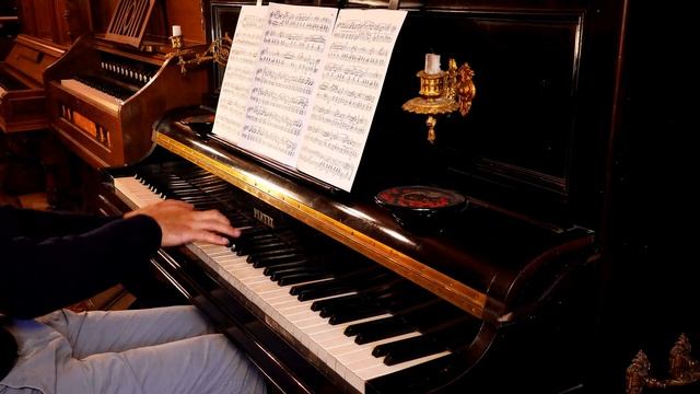 Pleyel Pianino - Chopin - Mazurka Op.17 N°4 - Well Temperament, Young 2 смотреть онлайн