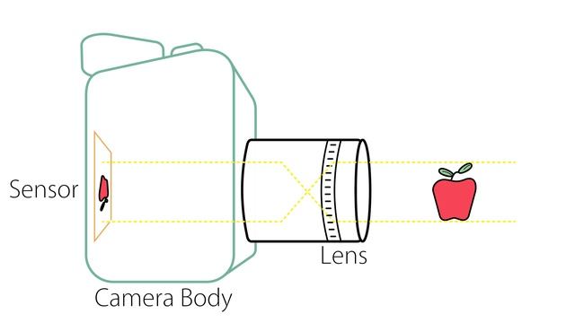 Camera Basics - Anatomy of a Camera