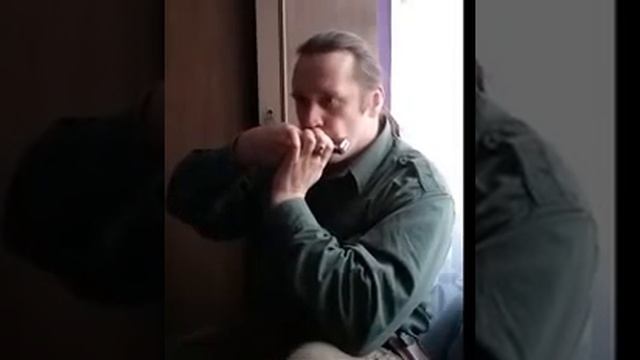 La Cucaracha на октавной губной гармошке смотреть онлайн