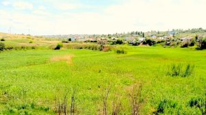 Балка Коренная Городище Городищенский район Волгоград Волгоградская область Мокрая Мечетка