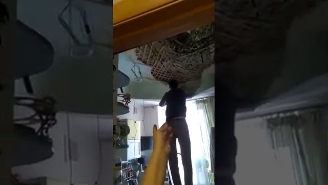В квартире Волгограда обрушился потолок: рассказ хозяйки смотреть онлайн