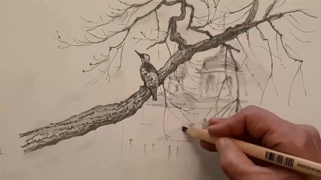 Как нарисовать ветку дерева карандашом. Проработка заднего плана  существующего наброска ( скетча )