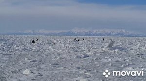 Кунашир.Зимой на охотском побережье.Охотское море замерзло.