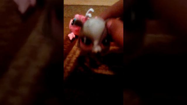 LPS реклама жвачки, самая упрт реклама в мире смотреть онлайн