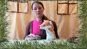 Волшебные слова "Здравствуйте, Спасибо и Спокойной ночи". Автор сказки Светлана Амельчонок.