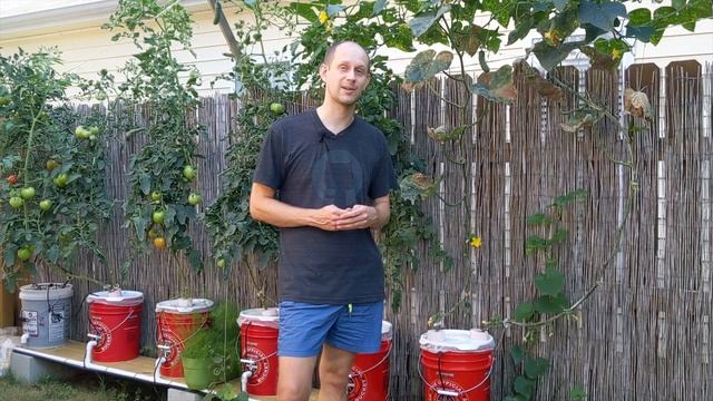 ? 6 Сентября. ? Первый 100% гидропонный томат в этом сезоне! Битва за урожай продолжается. смотреть онлайн