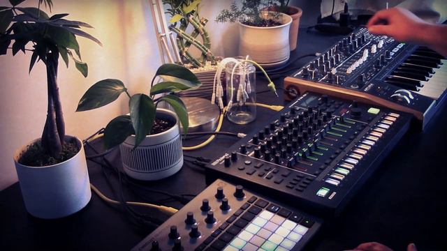 "FIFTY" / Techno Synth-Jam / Arturia Minibrute 2, Roland TR-8S, Novation Circuit Rhythm смотреть онлайн