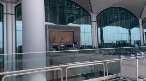 Пустят в США сейчас? Как попасть в США 2022?  Как полететь в США