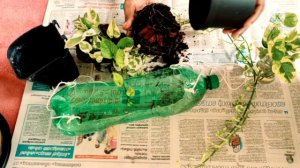 DIY | How to make a hanging Bamboo planter | Amazing Bamboo Planter |