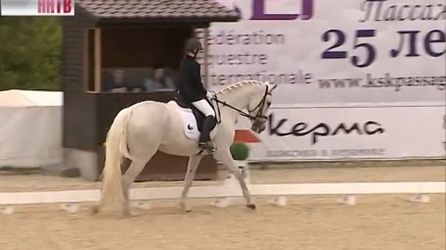 Нижний Новгород в эти дни принимает Кубок мира по выездке смотреть онлайн