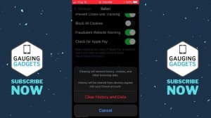 How to Clear Safari History & Website Data - iPhone & iPad -2021