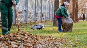 Что делать с листьями осенью. (Садовод Андрей Туманов)