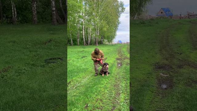 Доброе утро, друзья!
Хорошего Вам дня и чудесного настроения!😊😊😊

Суровые будни БАТЫРА😋😋😋