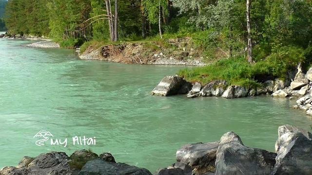 Горный Алтай, река Катунь смотреть онлайн