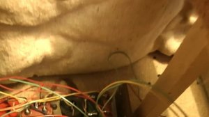 Созданные побеждать Амфитон 50АС-022