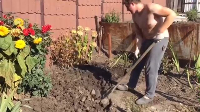 Спасибо Алмуша / наша старая кухня / Германия Россия