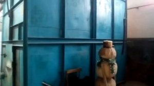 Ремонт и отстрел на кучность Хатсан125Н