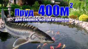 Пруд 400м3 для севрюги, осетра и форели