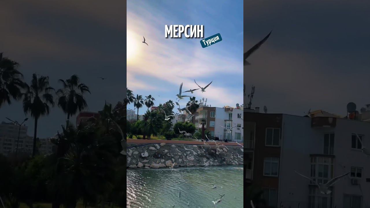 Надо жить у моря! смотреть онлайн