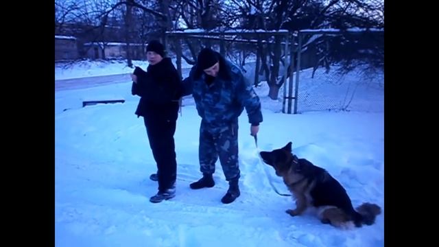 Охрана объектов и частной территории 3 смотреть онлайн