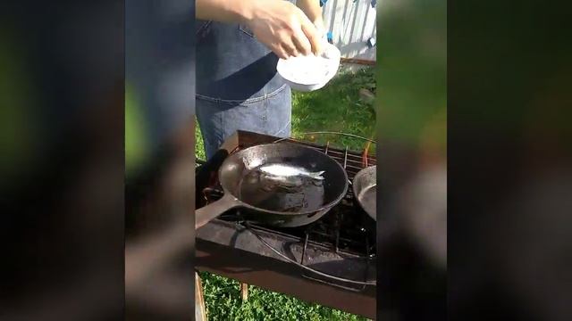 Очень вкусная жареная плотва к пиву смотреть онлайн