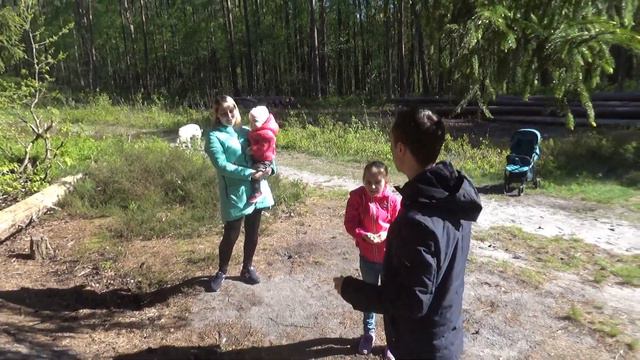 #Алёнкаплюс #Дартс #Лук #Дартспротивлука Дартц против Лука. смотреть онлайн