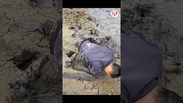 Catching Seafood ?? Deep Sea Octopus (Catch Crab, Catch Fish) - Tik Tok #100
