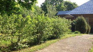 Музей-усадьба А.Т. Болотова "Дворяниново"