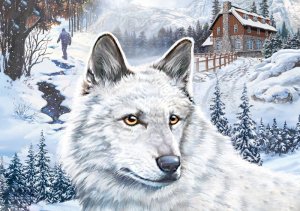 Нэнси Дрю. Белый волк ледяного ущелья. Прохождение. Часть Первая