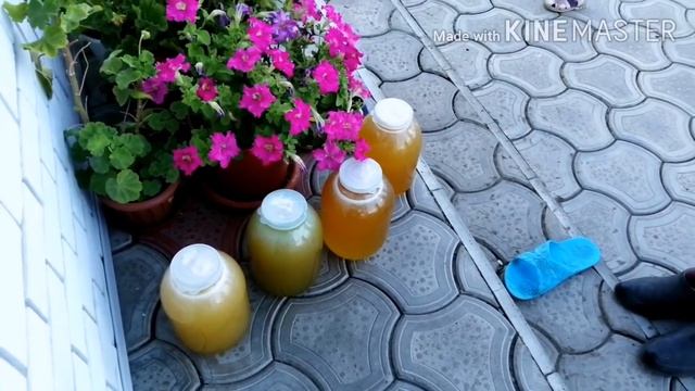 У нас родился внук!!! Каждый день гости. Подарки от племянников. смотреть онлайн