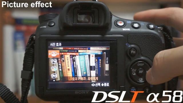 Sony DSLT a58 Review, Part04 'Built-in MIC & Picture effect' by 4District.com смотреть онлайн