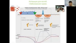 Современная психосоматика. Правила для НОВОЙ МЕЗОДЕРМЫ 4