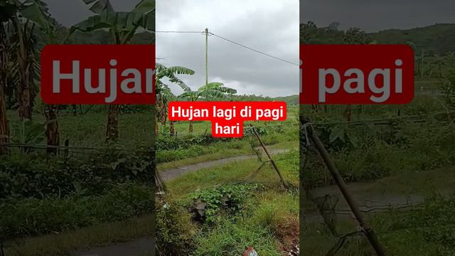 #petani