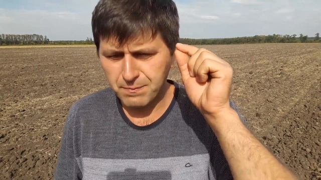 Можна чи не можна сіяти озимину в сухий грунт смотреть онлайн