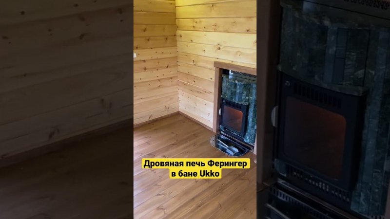 Дровяная банная печь Ферингер